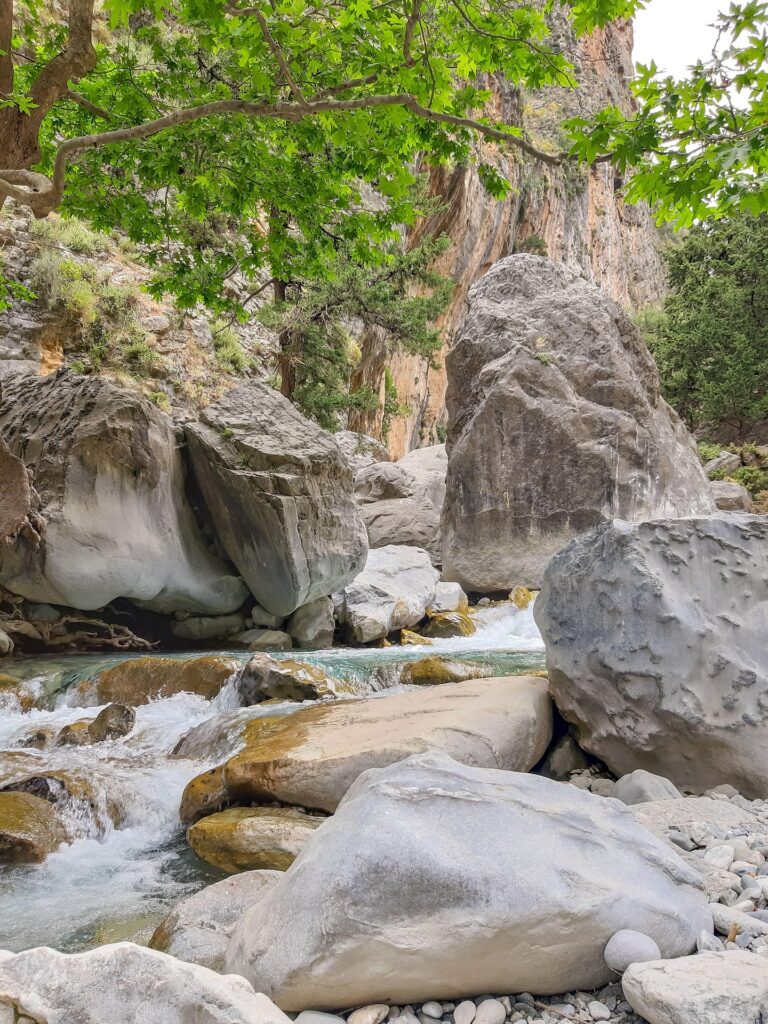 In der Samaria-Schlucht